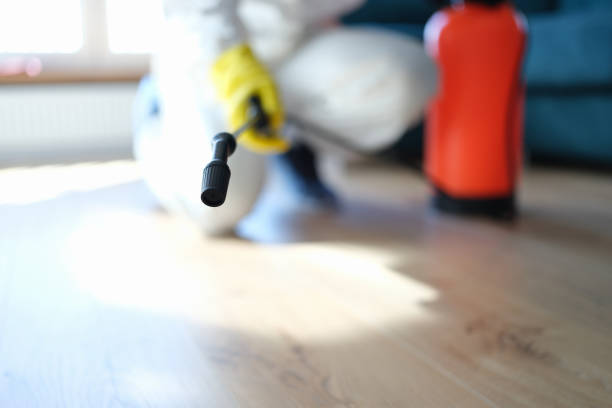 Best Water Damage & Mold Remediation  in Berry Creek, CA